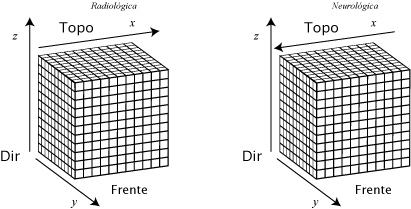 Orientação dos dados